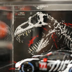 #77 Skeleton Rexy 2.0 Acrylic Display Case